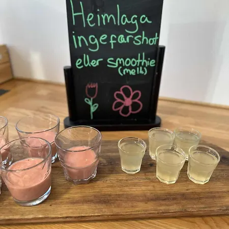 מלון Slobrua Gjestegard 2*